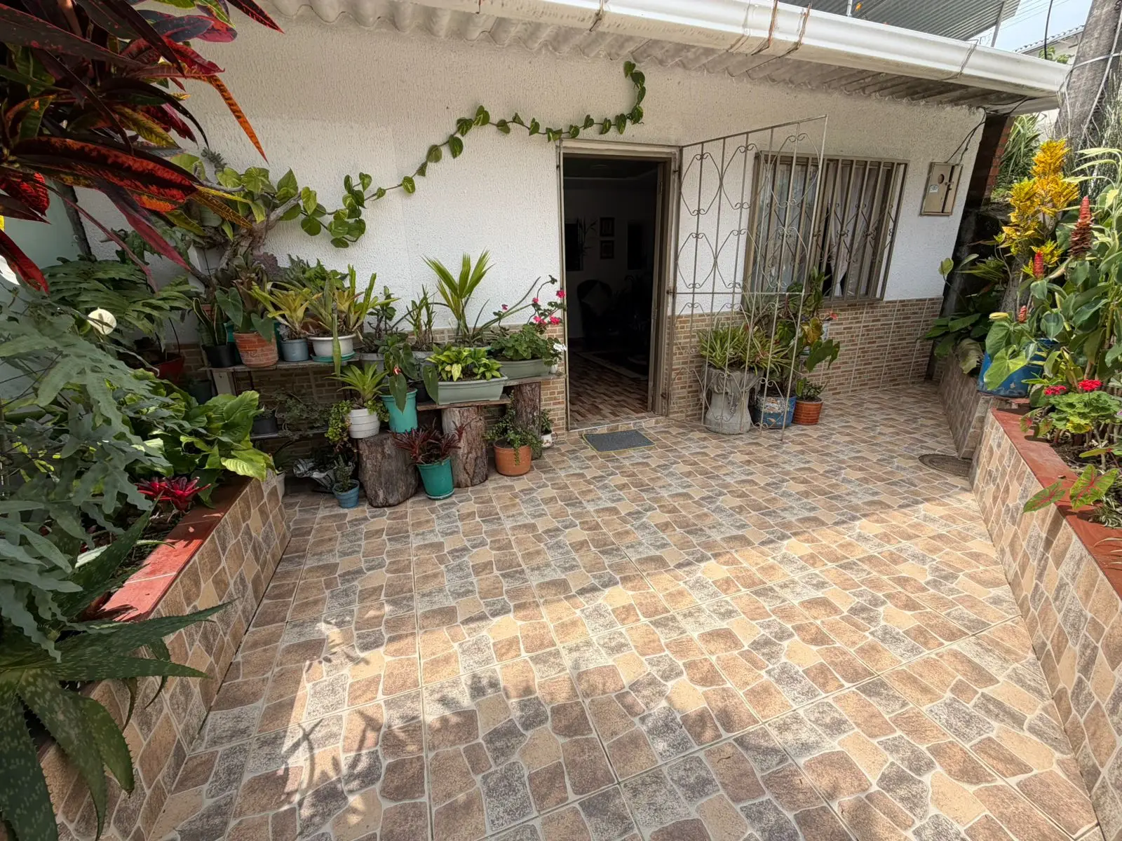 Propiedad en Buenavista